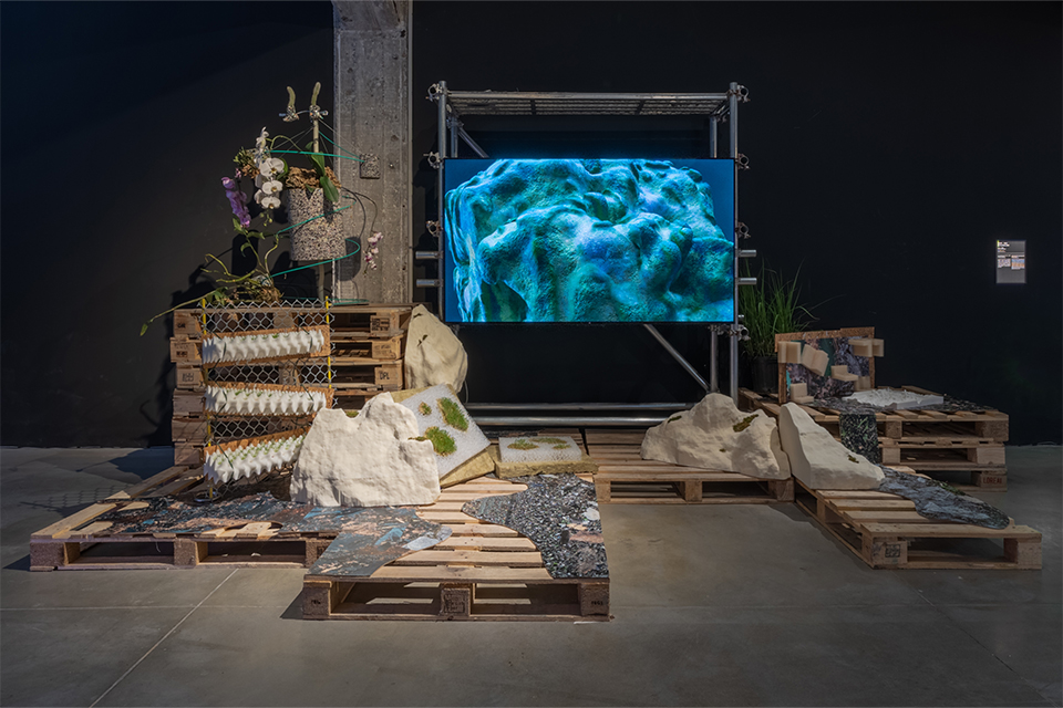 Balcony for the brave-Nutrition, materials, and future ecology