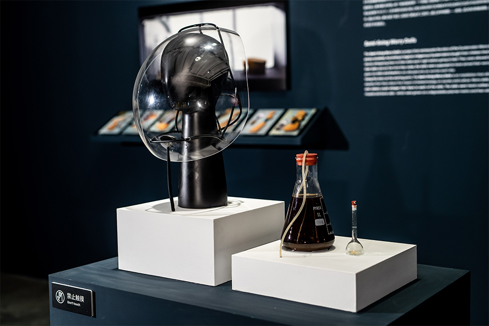 《Vapour Meat》, 2018<br>Oron Catts & Devon Ward