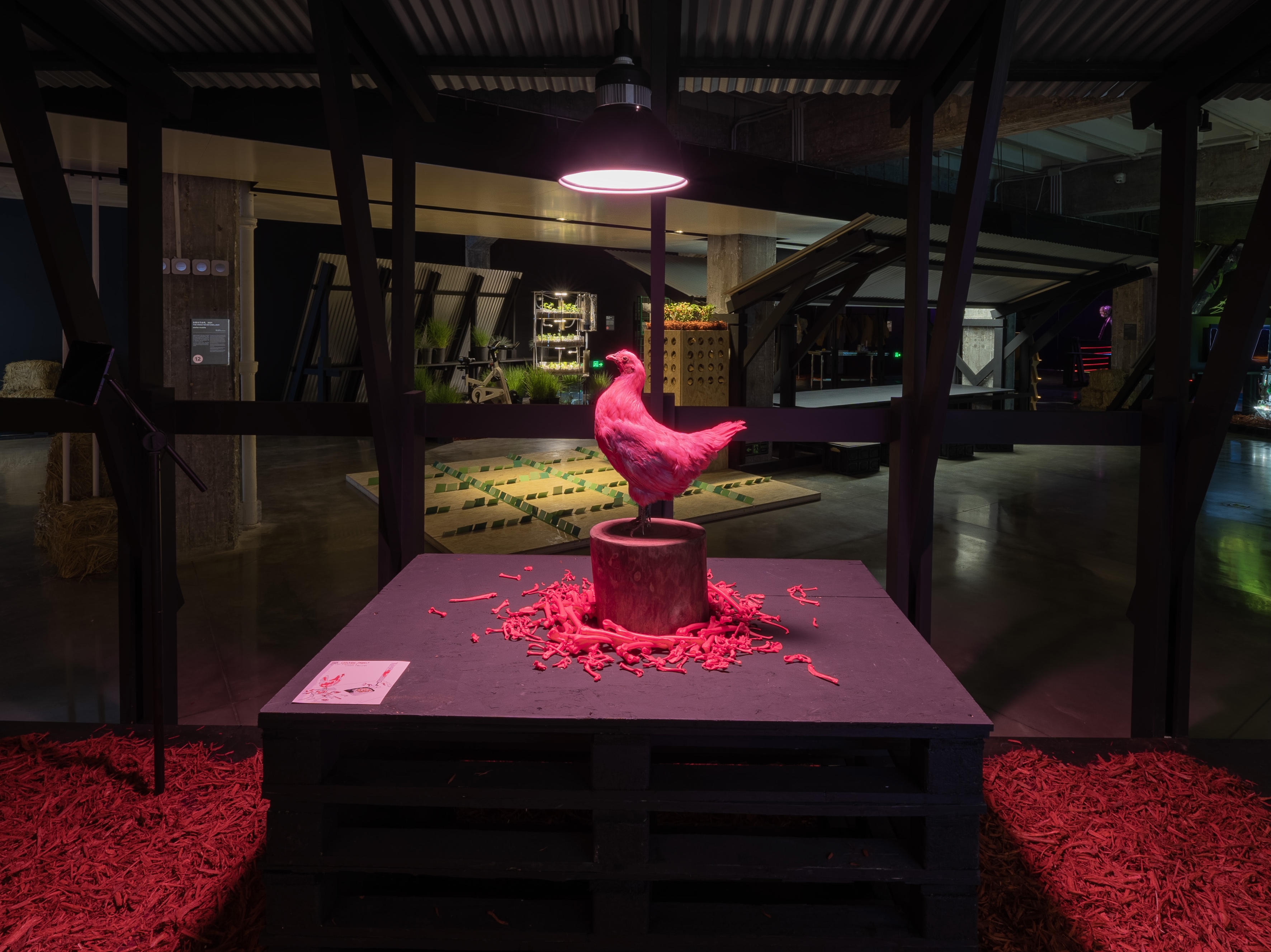 《PINK CHICKEN PROJECT, Mixed Media》, 2017
Nonhuman Nonsense Studio