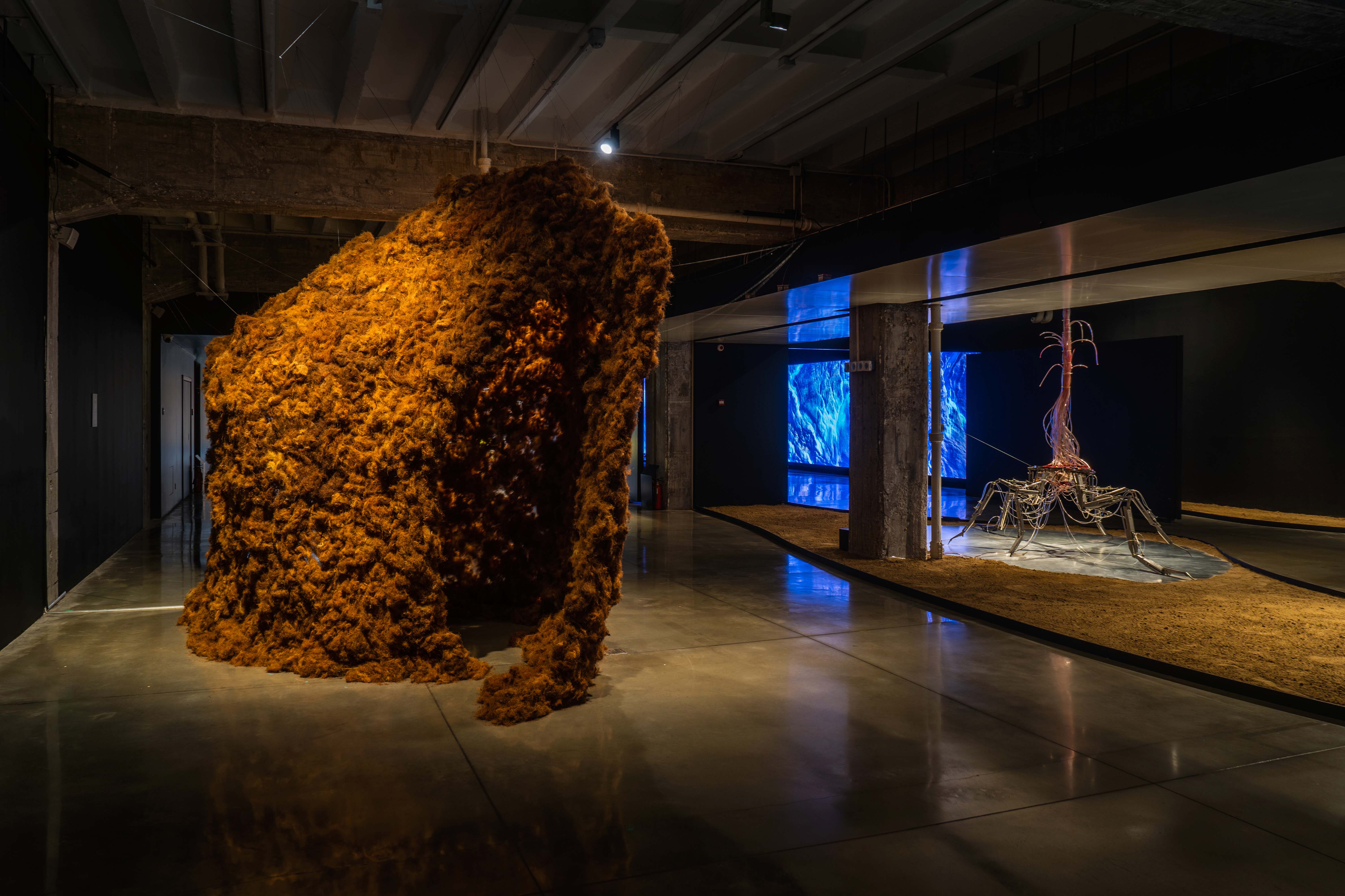 Metamorphic Ecosphere